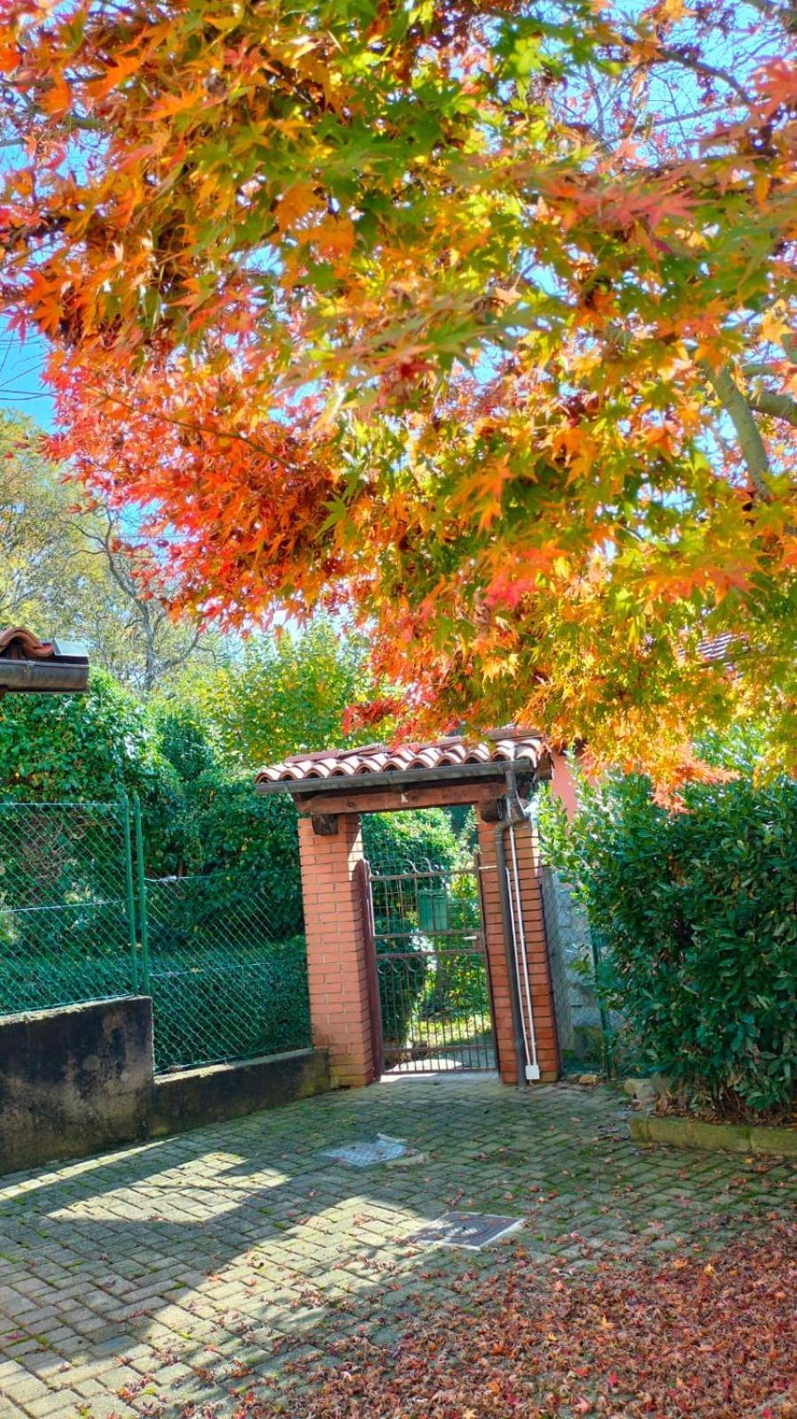 La Frisa Casa Vacanza Tavigliano Extérieur photo